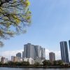 【アウェイの洗礼】なぜ西原良三は、見知らぬ土地で「五感をリセット」するのか